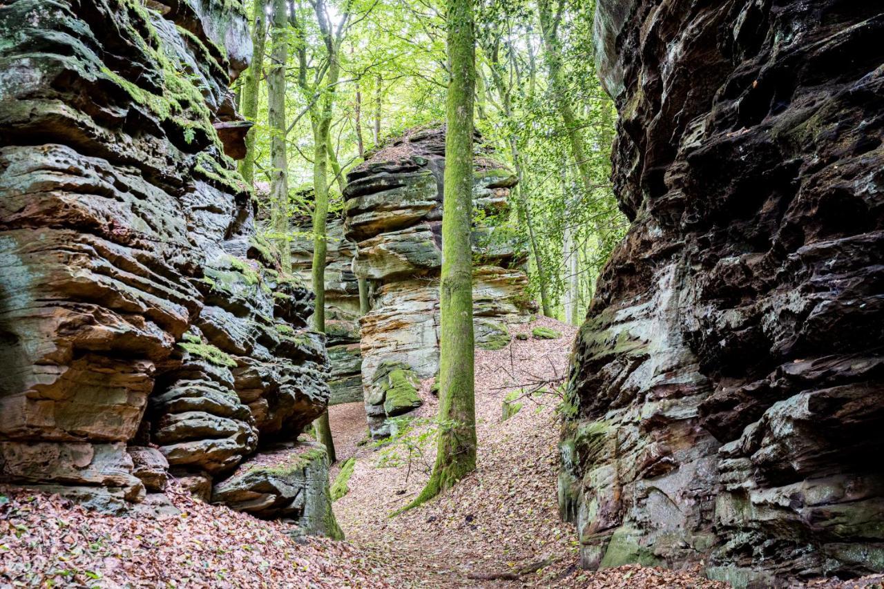 Waldhotel Sonnenberg Bollendorf Exteriör bild