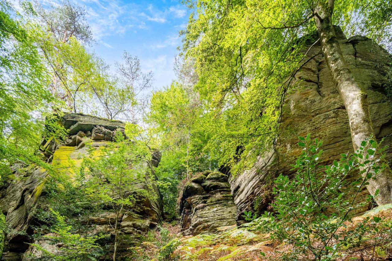 Waldhotel Sonnenberg Bollendorf Exteriör bild